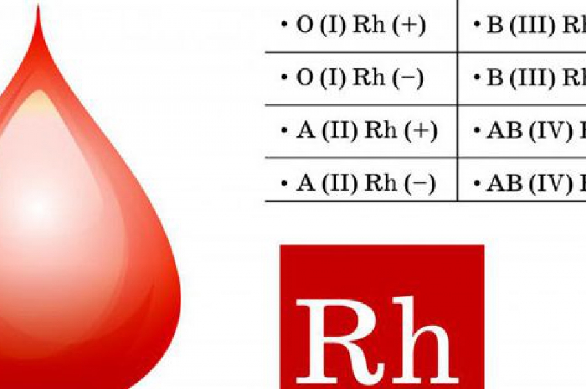 Ii группа rh. 3 Группа крови. 3 Положительная группа крови. 3 Отрицательная группа крови. Вторая и третья группа крови.